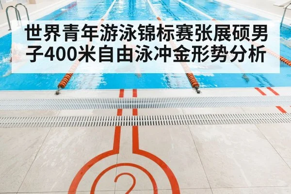 世界青年游泳锦标赛张展硕男子400米自由泳冲金形势分析